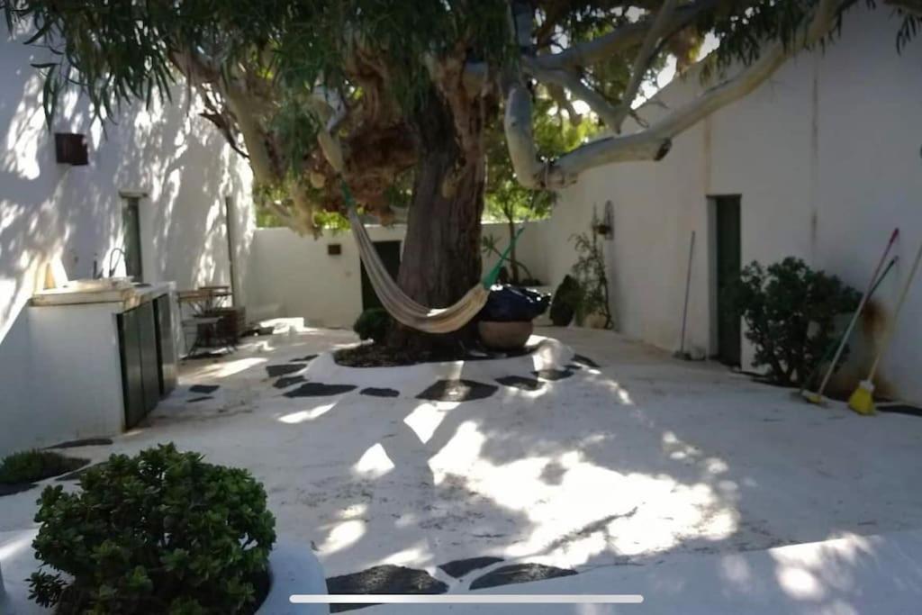 Lovely Studio In Original Finca La Asomada  エクステリア 写真